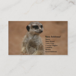 Adressenänderung Karten - Meerkats