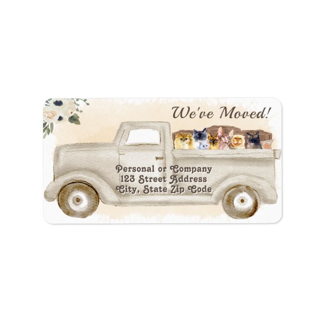 Adressenänderung, Katzen, Adressenaufkleber zurück Adressaufkleber (Vorne)