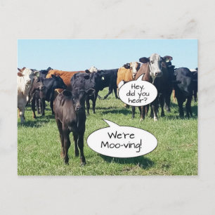 Adressenänderung Wir sind mooving Postkarte