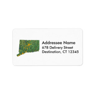 Adressenkennzeichen für Connecticut Adressaufkleber