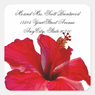 Adressetiketten für tropischen Roten Hibiskus Quadratischer Aufkleber