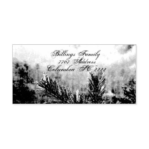 Adressieren Sie Kiefer 2 der Permastempel