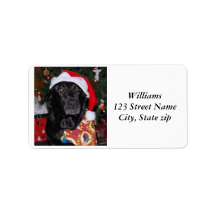 Adressliste Adressaufkleber