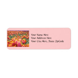 Adressmarken Tulip-Blume Pink Tulips