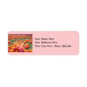 Adressmarken Tulip-Blume Pink Tulips