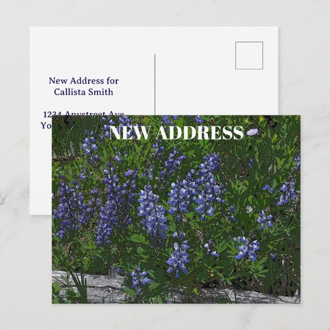Adresswechsel der Lupinen Postkarte (Vorne/Hinten)