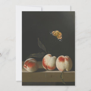 Adriaen Coorte - Stillleben mit drei Pfirsichen  Einladung