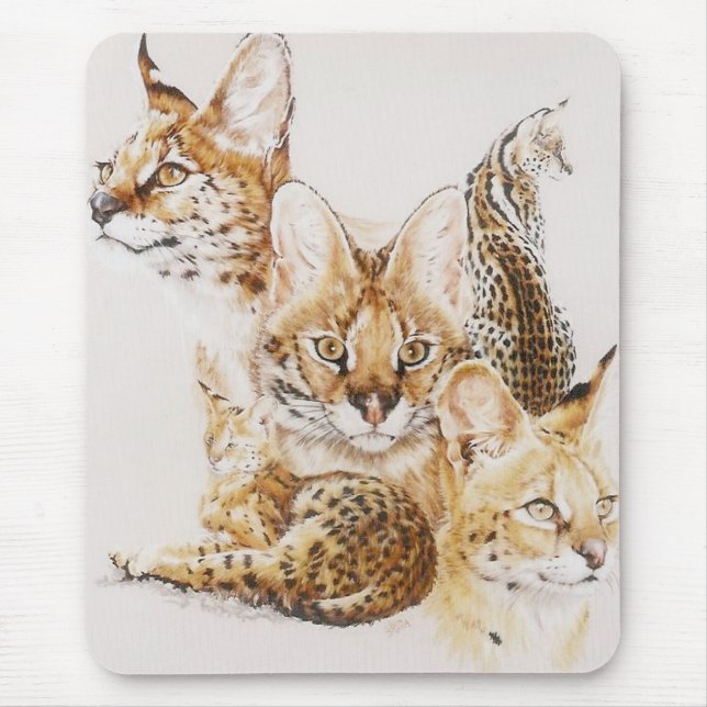 Adroit Mousepad (Vorne)