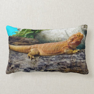 Adult Bearded Dragon Lizard Lendenkissen