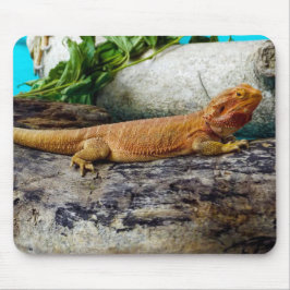 Adult Bearded Dragon Lizard Mousepad