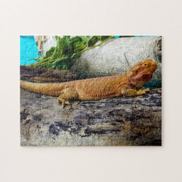 Adult Bearded Dragon Lizard Puzzle