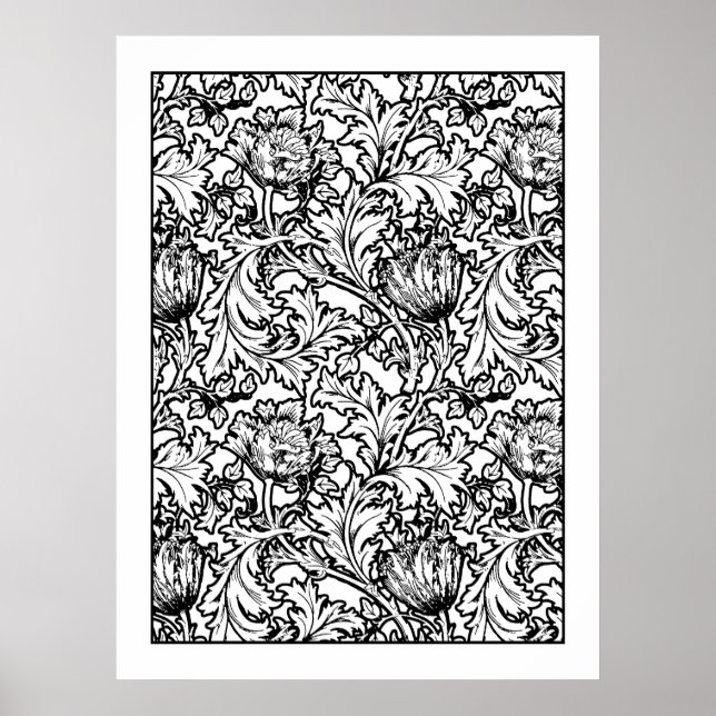 Adult Coloring Poster William Morris Anemone (Vorne)