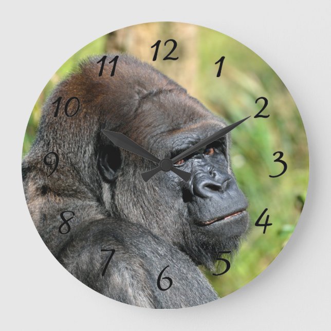 Adult Gorilla Große Wanduhr (Vorderseite)