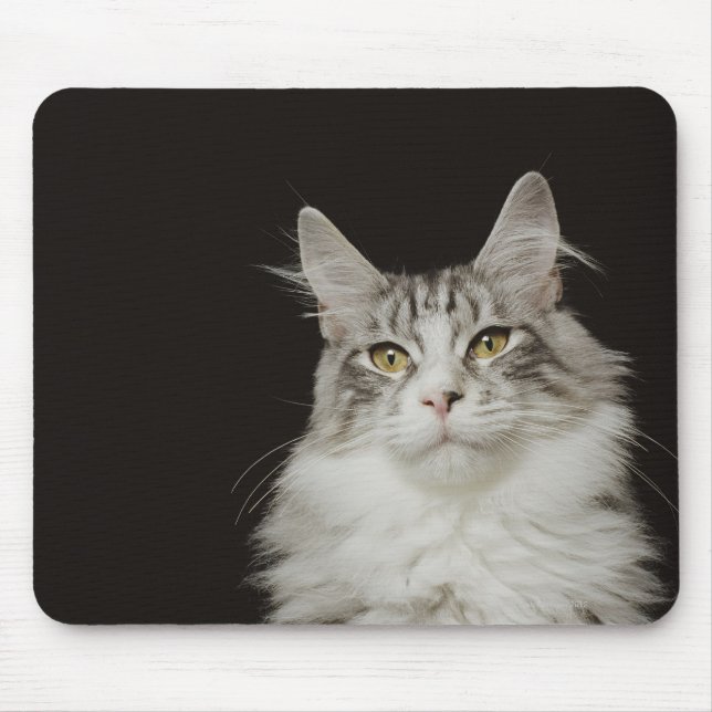 Adult Maine Coon Cat Mousepad (Vorne)