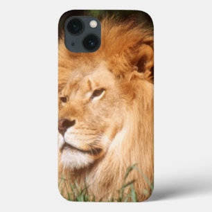 Adult male Lion Case-Mate iPhone Hülle