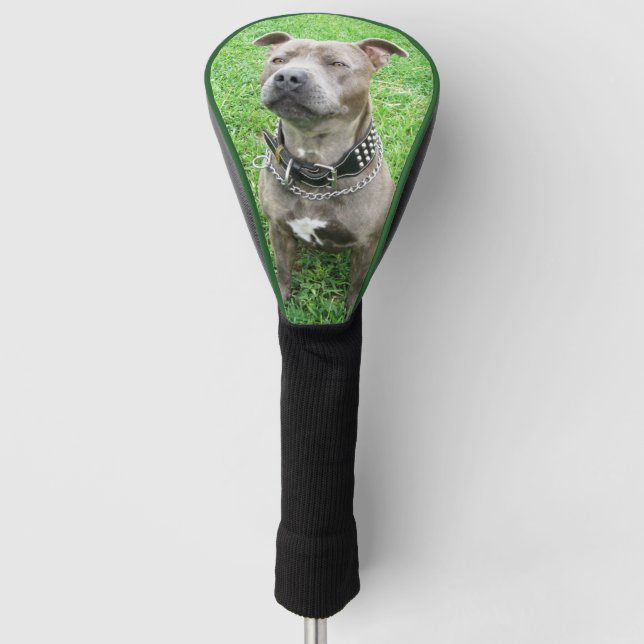 Adult Staffordshire Bull Terrier Golf Driver Cover Headcover (Vorderseite)