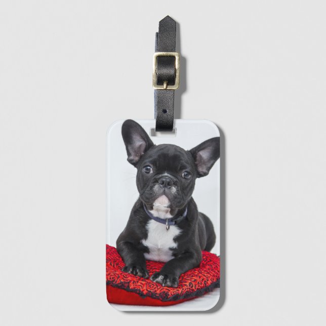 Adventure Black and White Bulldog Puppy Foto Gepäckanhänger (Vorderseite Vertikal)
