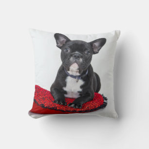 Adventure Black and White Bulldog Puppy Foto Kissen