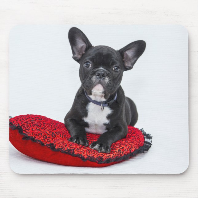 Adventure Black and White Bulldog Puppy Foto Mousepad (Vorne)