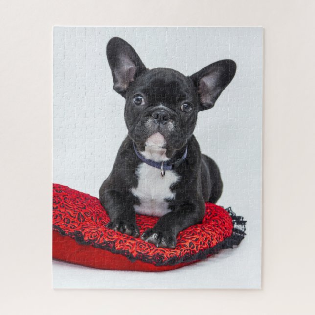 Adventure Black and White Bulldog Puppy Foto Puzzle (Vertikal)