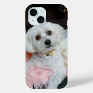 Adventure Extravagant White Puppy Portrait Foto Case-Mate iPhone Hülle