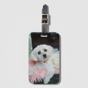 Adventure Extravagant White Puppy Portrait Foto Gepäckanhänger