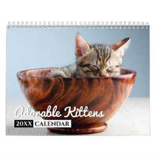 Adventure Kittens Foto Wall Calendar Kalender