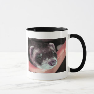 Adventure Sable Ferret Foto Tasse