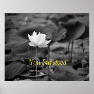 Advocacy Poster für häusliche Gewalt I