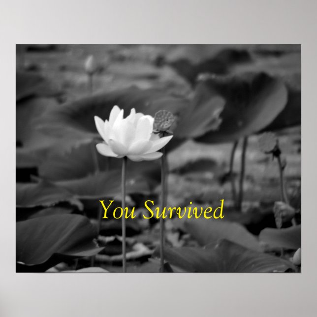 Advocacy Poster für häusliche Gewalt I (Vorne)