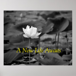 Advocacy Posters für häusliche Gewalt III Poster