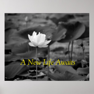 Advocacy Posters für häusliche Gewalt III Poster