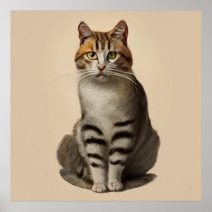 Aegean - Cat Portrait Poster