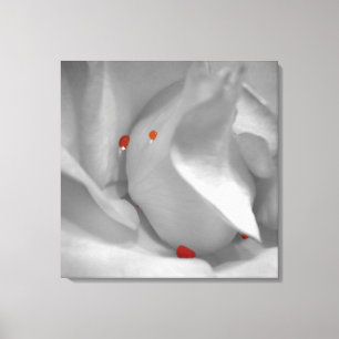 Aeolian Watercolor Canvas Print Leinwanddruck