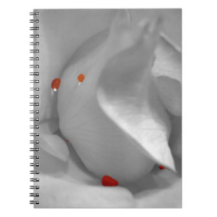 Aeolian Watercolor-Notebook Notizblock