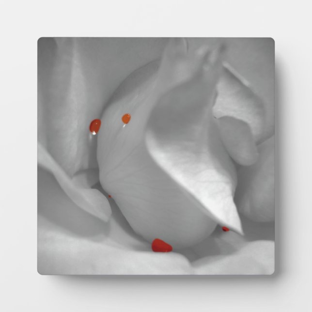 Aeolian Watercolor Plaque Fotoplatte (Vorderseite)