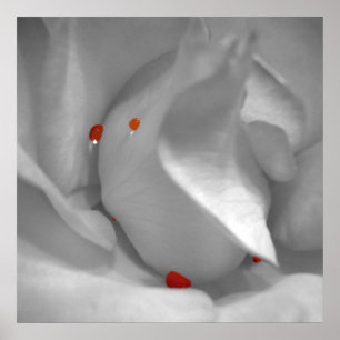 Aeolian Watercolor Print Poster