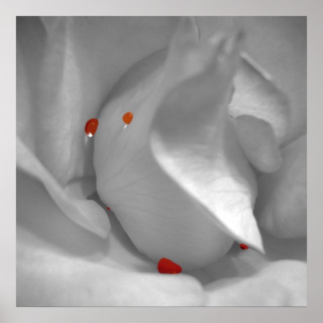 Aeolian Watercolor Print Poster (Vorne)