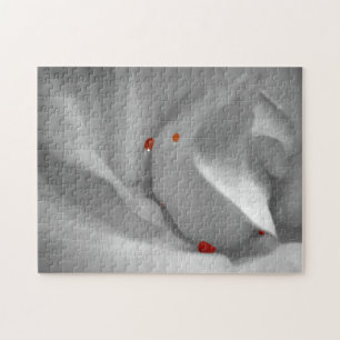 Aeolian Watercolor Puzzle