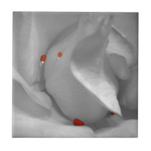 Aeolische Aquarelltöne Fliese