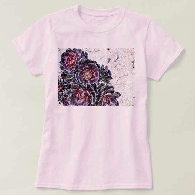 Aeonium-Blume auf trockenen Felsen T-Shirt (Design vorne)