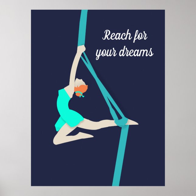 Aerial Silks Poster (Vorne)