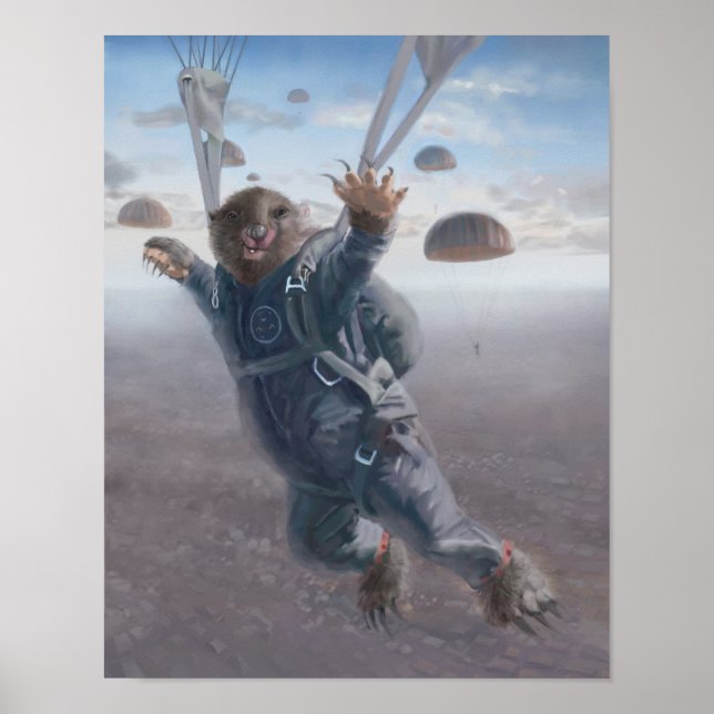 Aerial Wombat Joyride Poster (Vorne)
