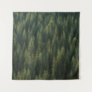 AERIALFOTOGRAFIE DES WALDES WANDTEPPICH