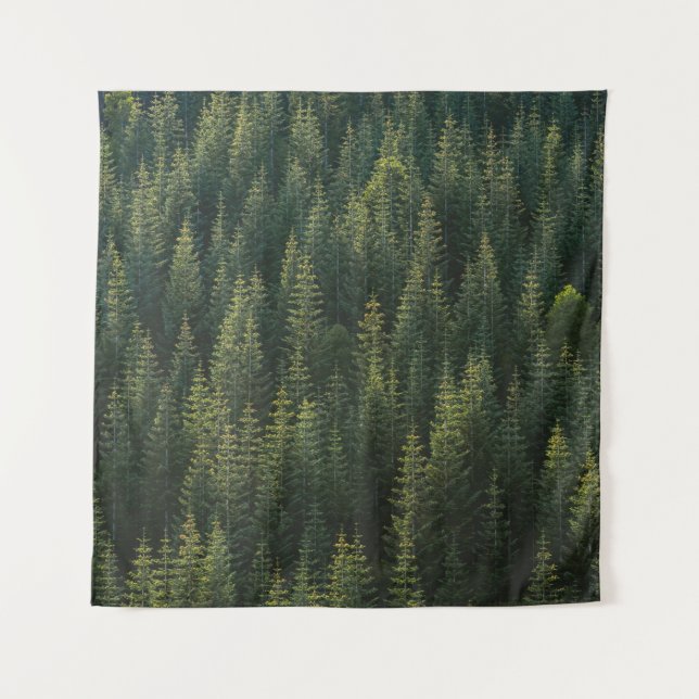 AERIALFOTOGRAFIE DES WALDES WANDTEPPICH (Vorderseite)