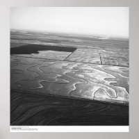 Aerials, Sacramento Valley, Reisfelder, Mai 1966