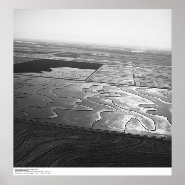 Aerials, Sacramento Valley, Reisfelder, Mai 1966 Poster (Vorne)