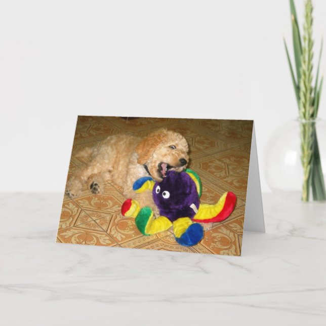 Aero 5 karte (Vorderseite)