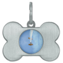 Aerobatic Doppeldecker