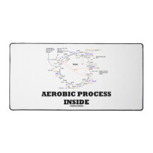 Aerobic Process Inside Krebs Cycle Biochemistry